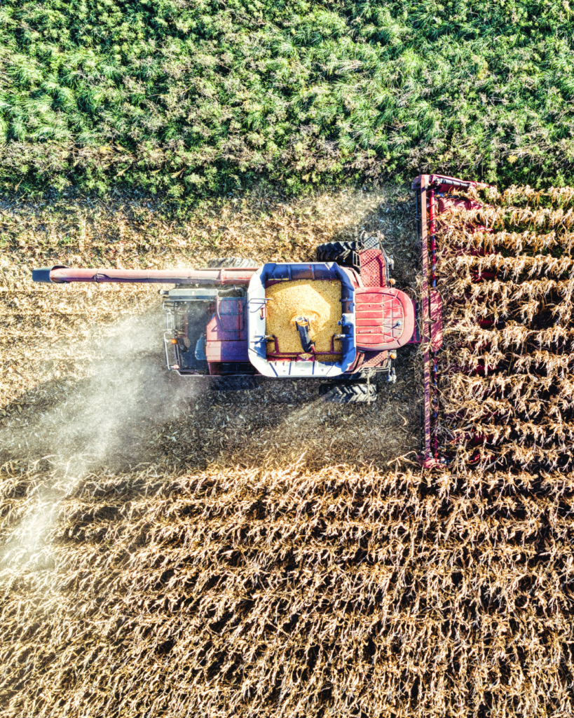 post instagram notícia corporativo profissional básico vermelho e branco (2)