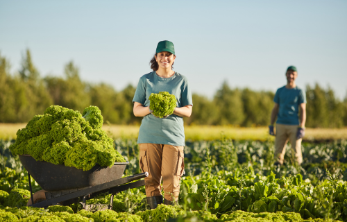 services-1 design sem nome (18)