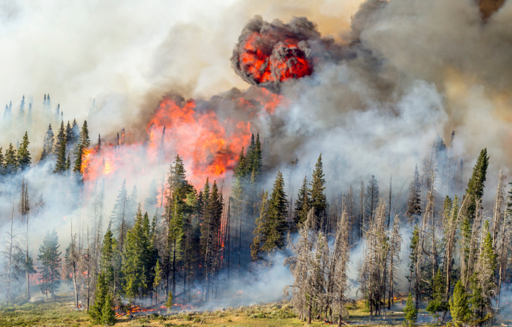 design sem nome (20)