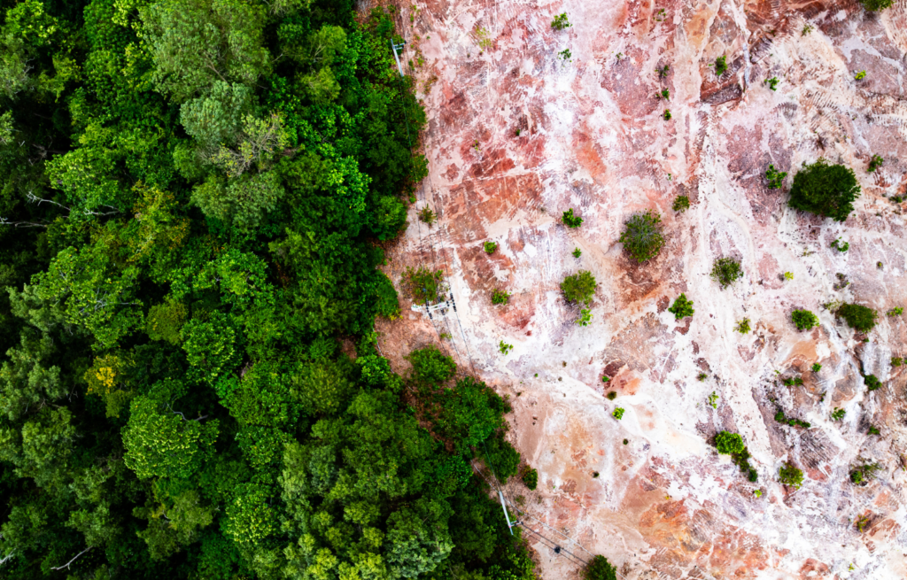 Quase 5 MIL processos Ambientais em 3 anos somente em Rondônia! design sem nome (3)
